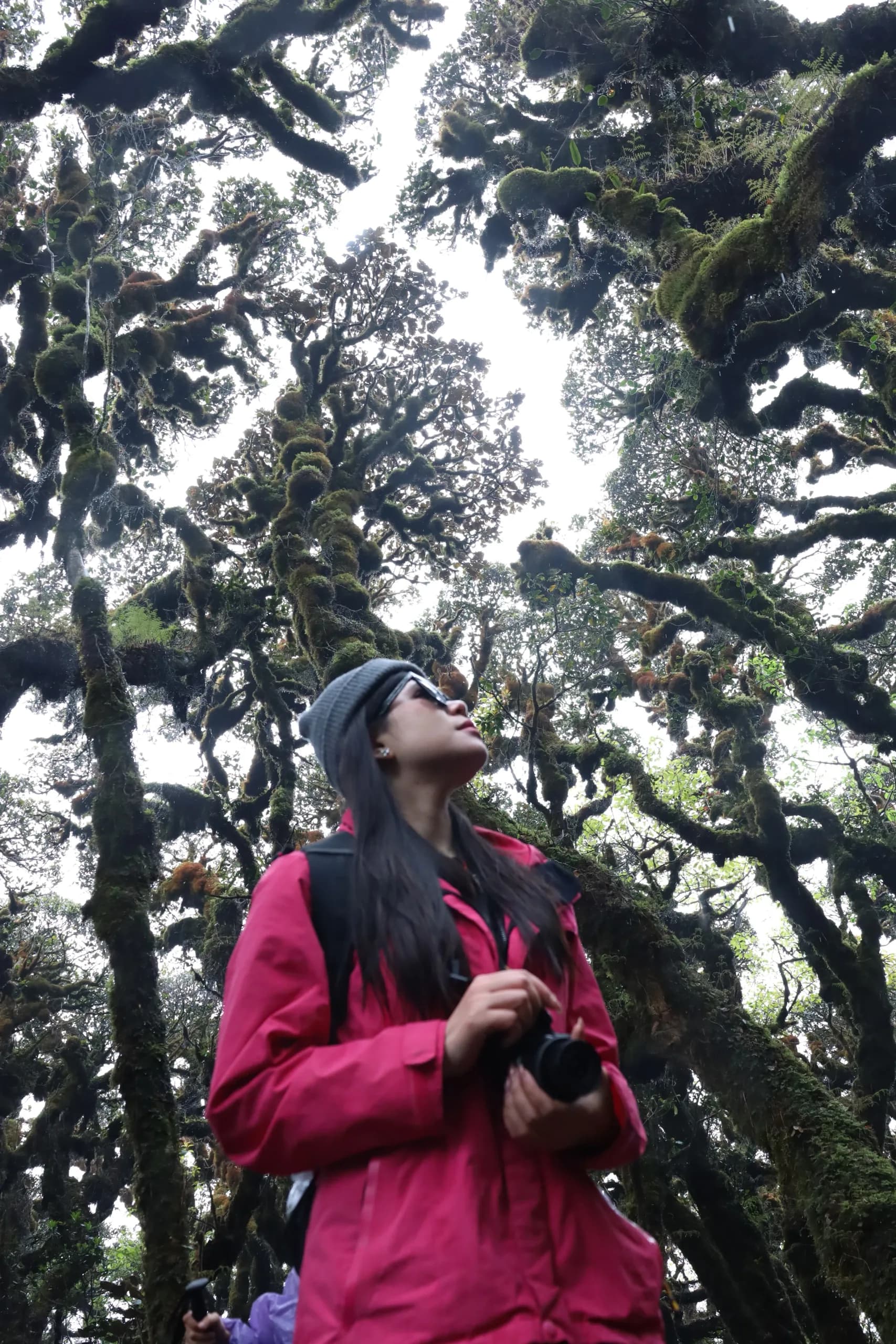 Phu Sa Phìn