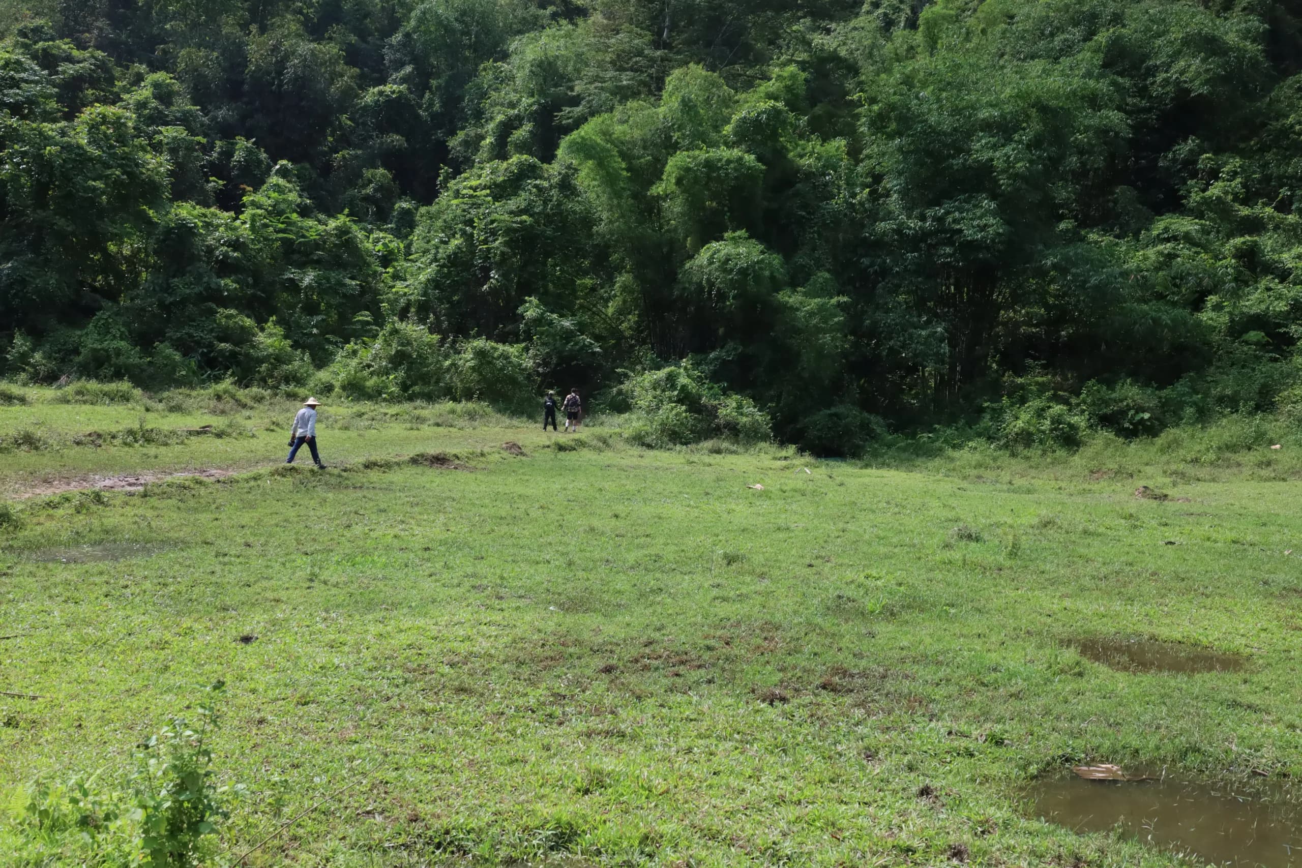 Đà Giang - image 3